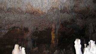 涼しいスポット