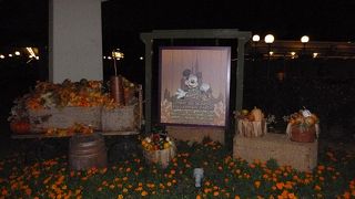 期間限定パーティー