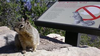 この絶景は必見です