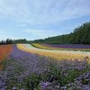 北海道の自然をたっぷり味わえるペンション