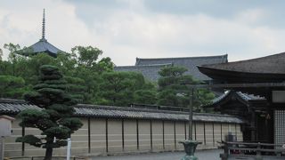 日本で一番高い五重塔がある