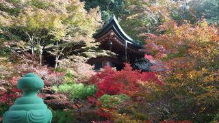 桜と紅葉の名所。動く襖絵もおもしろい。