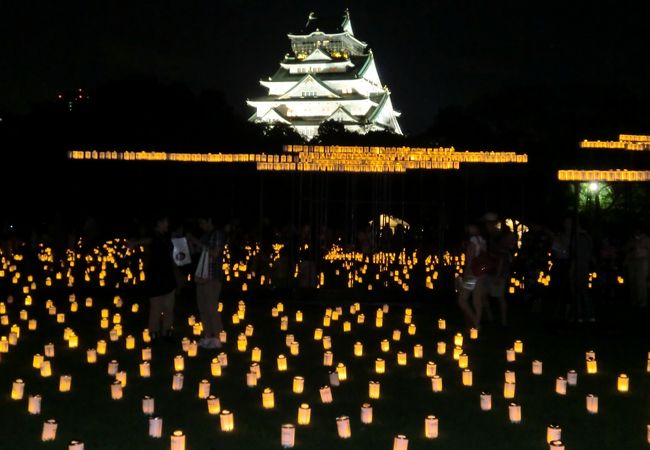 ライトアップイベント（西の丸庭園より）