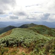 白山、御嶽山、乗鞍岳、穂高連峰などが見える山