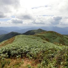 能郷白山