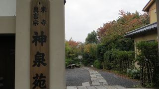 初秋の神泉苑。