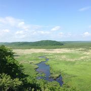 釧路湿原の景色を一望できる展望台。美しい大自然を体感できます！