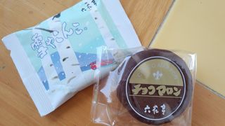 ガラス越しに見える五稜郭公園の桜が見事です！