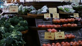 新鮮できれいな野菜がいっぱい。