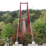 森の中の吊り橋