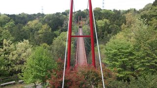 森の中の吊り橋