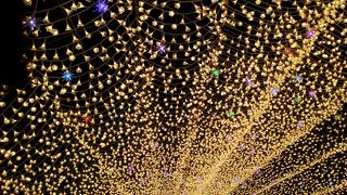 待ち時間にゼコニアガーデンへ