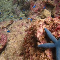 シークレットビーチで