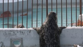 札幌近郊の穴場