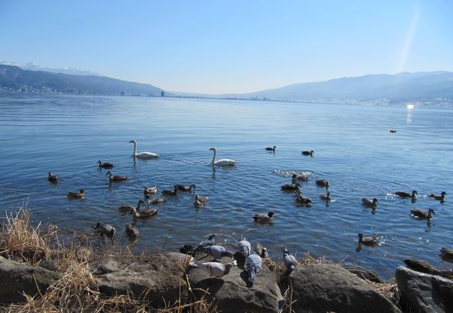 諏訪湖(長野県諏訪市)