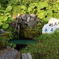 冷たく、美味しいわき水です。