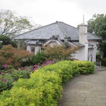 綺麗な姿ですね