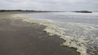 夏は沢山の人がいます！