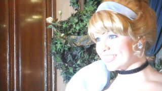 シンデレラ城で食事