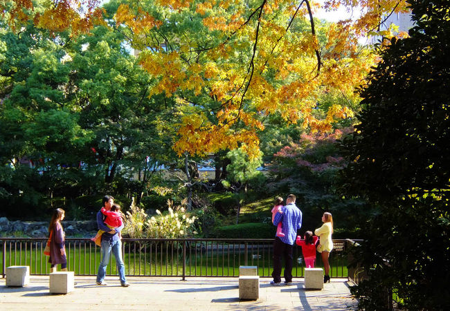 横浜公園