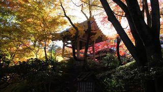 素晴らしい紅葉に感謝。