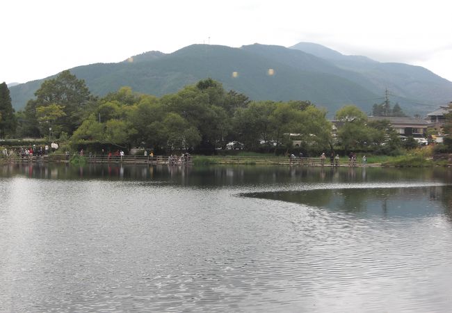 金麟湖を眺めながらお食事できる