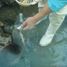 あちこちで、お食事タイムが見られます