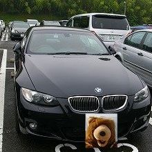 駐車スペースは広々しています