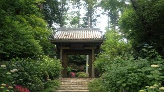 落ちつくきれいなお寺