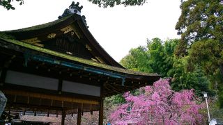 桜で有名なだけありますね