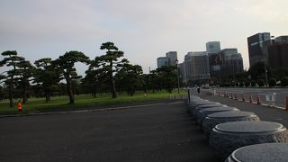 皇居観光の代名詞