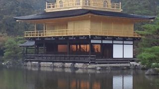 まさに金色でした。