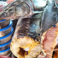 チョウザメ？なのか、巨大な魚が豊富でした。