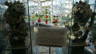 麒麟ビールのマークに出会う