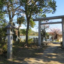 神社から広沢池を望む。