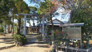 広沢池西畔に鎮座する情緒ある小さな神社。