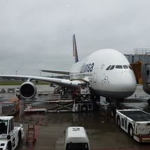A380／　NRT