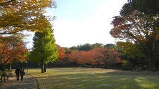 秋の北の丸公園