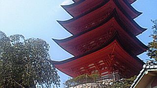 朱色で目立ちます。