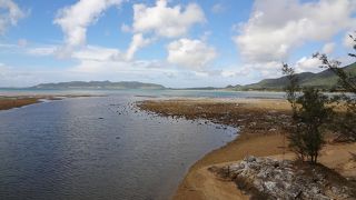 西表島にも通じる光景
