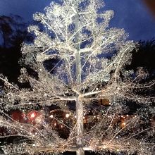 クリスタルガラスのツリーはやっぱり素敵でした。