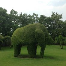 動物の形に整えられた植え込み