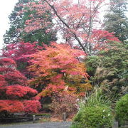 紅葉が非常に綺麗です