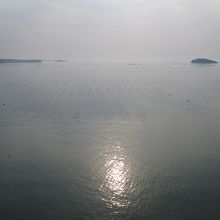 志津川湾
