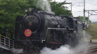 一度は見て損は無い