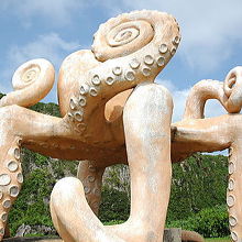 後ろの崖も注目です