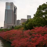 静かに散策したいなら紅葉の季節がおすすめ