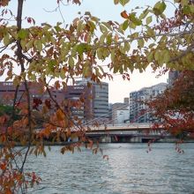 大川から見た川崎橋