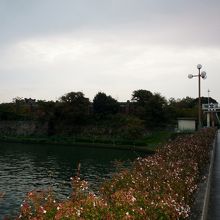 京橋から見た景色
