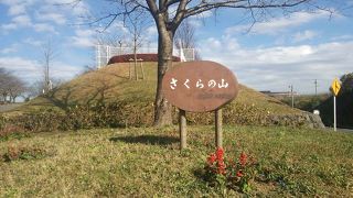 電車も見れます